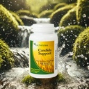 rachelstea-candida-support-intestinal-fl-4.jpg