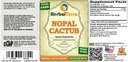 nopal-cactus-opuntia-streptacantha-tinct-2.jpg