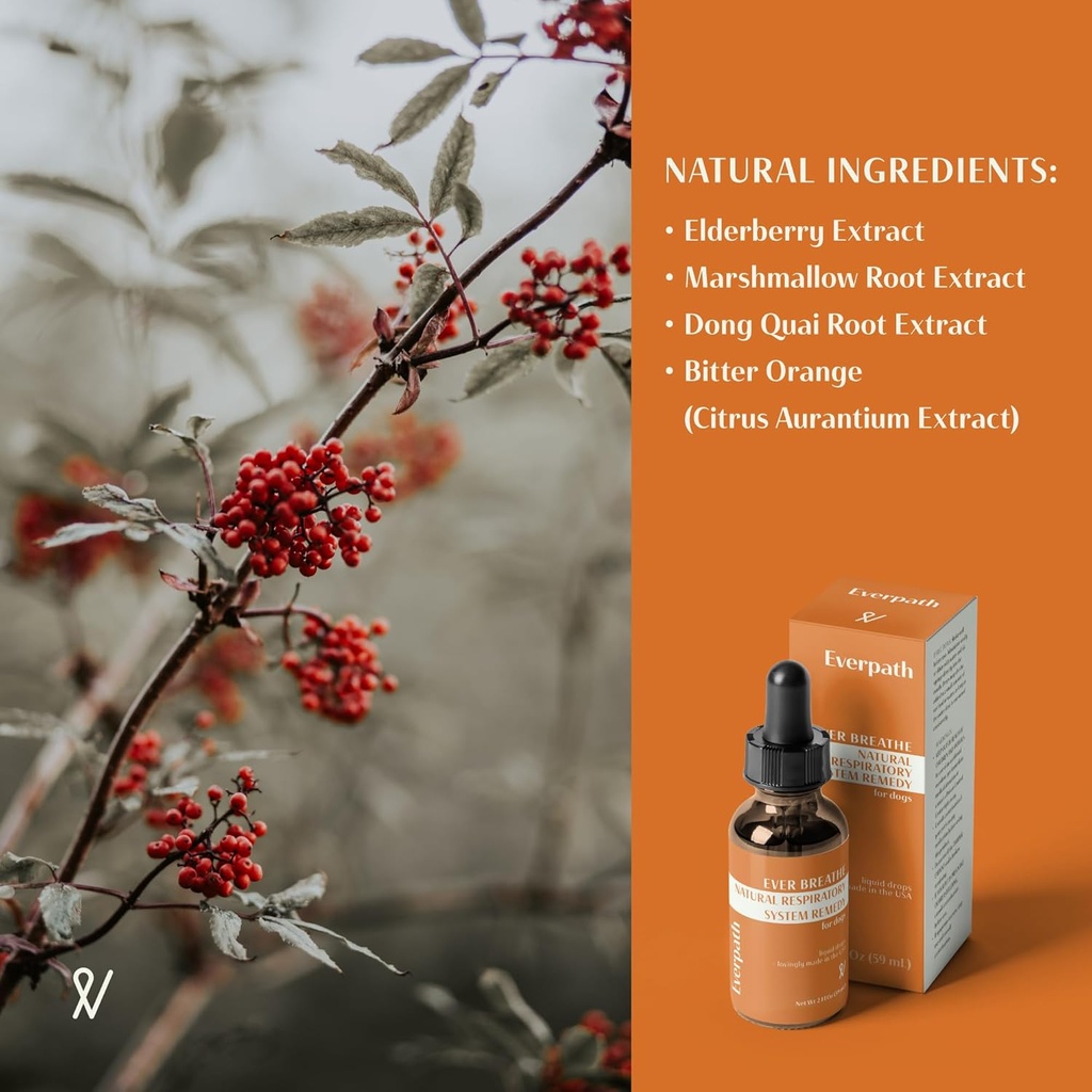 everpath-respiratory-support-for-dogs----3.jpg