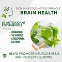 bricker-labs-brain-aid-memory-matters-no-3.jpg