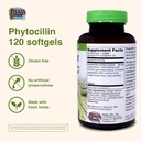 herbs-etc-phytocillin---respiratory-dige-3.jpg