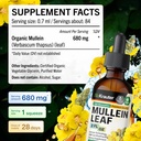 bio-krauter-mullein-leaf-extract-for-lun-4.jpg