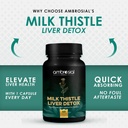ambrosial-milk-thistle-capsules---pack-o-5.jpg