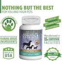 ample-nutrition-complete-pet-prebiotic-p-6.jpg