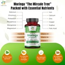 organic-aura-moringa-leaf-capsules-1500m-4.jpg