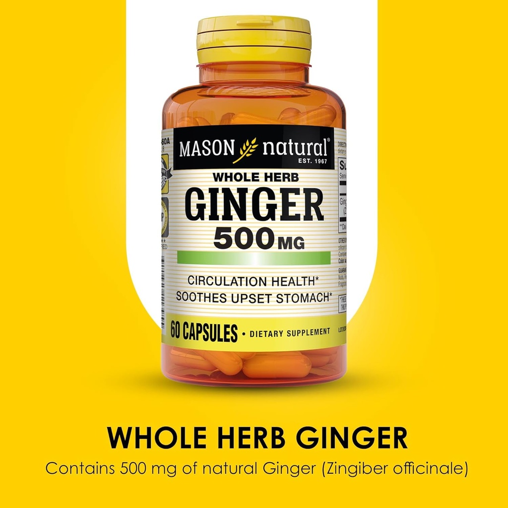 mason-natural-whole-herb-ginger-500-mg-2-4.jpg