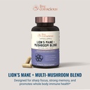 live-conscious-lions-mane-mushroom-suppl-4.jpg