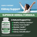 kidney-support-supplement-kidney-cleanse-6.jpg