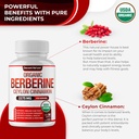 organic-berberine-with-ceylon-cinnamon-2-3.jpg