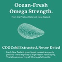 glx3-extra-strength-green-lipped-mussel--5.jpg