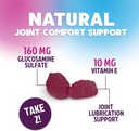 joint-support-gummies-glucosamine-plus-v-5.jpg