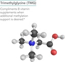 nutricology-tmg-trimethylglycine-750-mg--4.jpg