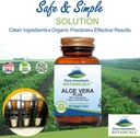 pure-mountain-botanicals-aloe-vera-plus--3.jpg