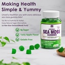 sea-moss-gummies---irish-sea-moss-gummie-6.jpg
