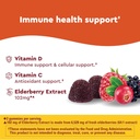 nature-made-wellblends-immune-superfood--3.jpg