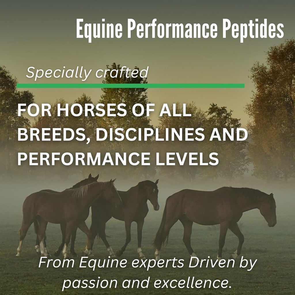 equine-performance-peptides-horse-peptid-6.jpg