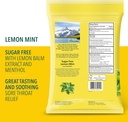 ricola-sugar-free-105ct-lemon-mint-45ct--4.jpg