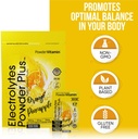 powdervitamin-electrolytes-powder-plus-k-3.jpg