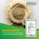 epothex-pure-luteolin-powder-24-grams-br-3.jpg