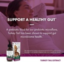 host-defense-turkey-tail-extract---diges-5.jpg