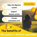 mullein-gummies-2000mg-organic-mullein-l-3.jpg