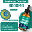 berberine-hcl-supplement-with-ceylon-cin-3.jpg