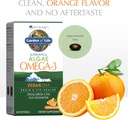 garden-of-life-minami-algae-omega-3-vega-3.jpg
