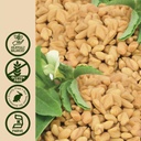 natures-answer-fenugreek-seed-with-organ-5.jpg