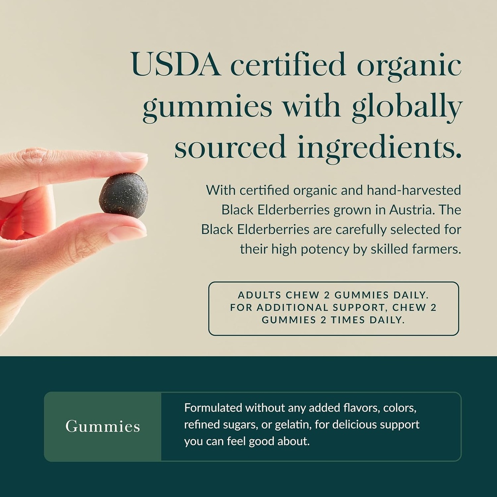 gaia-herbs-black-elderberry-sambucus-nig-4.jpg