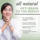 optimal-health-systems-brain-most-compre-6.jpg