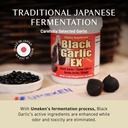 umeken-black-garlic-ex-fermented-concent-3.jpg