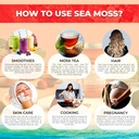 wellness-labsrx-irish-sea-moss-gel-raw---6.jpg