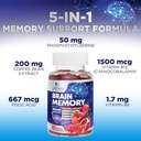 brain-supplements-for-memory-focus-gummi-6.jpg