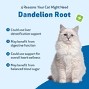 pet-wellbeing-dandelion-root-for-cats----2.jpg
