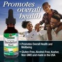 natures-answer-alcohol-free-dandelion-ro-3.jpg