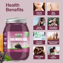 aceyo-18-oz-irish-elderberry-sea-moss-ge-4.jpg