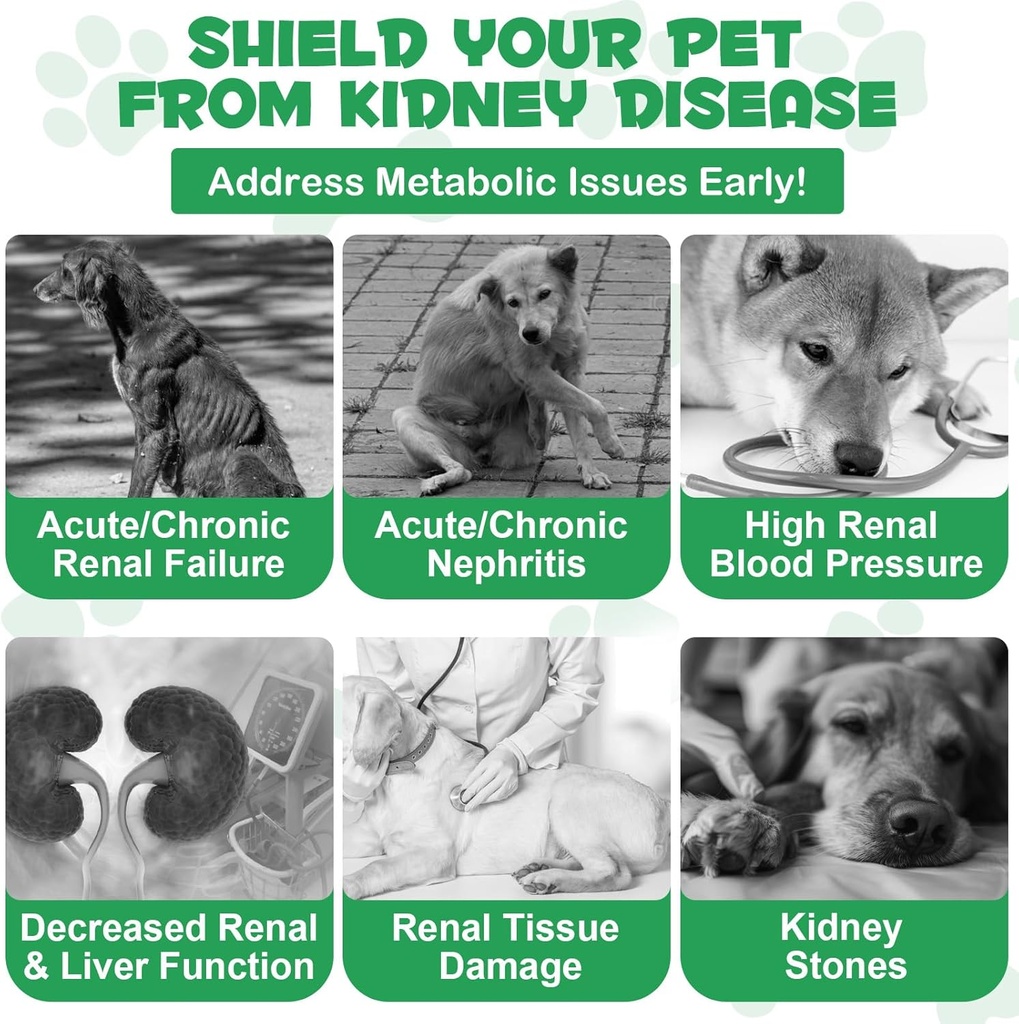 kidney-support-for-dogs-kidney-support-h-6.jpg