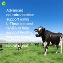 nutra-biogenesis-focus-fizz---gaba-l-the-6.jpg