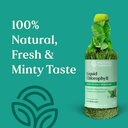 natures-sunshine-liquid-chlorophyll---im-3.jpg