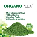 organoplex---chaya-tree-spinach---leaf-p-5.jpg