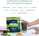 organifi-green-juice-and-red-juice-bundl-6.jpg