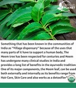 organic-neem-leaf-powder-for-skin-hair-a-2.jpg
