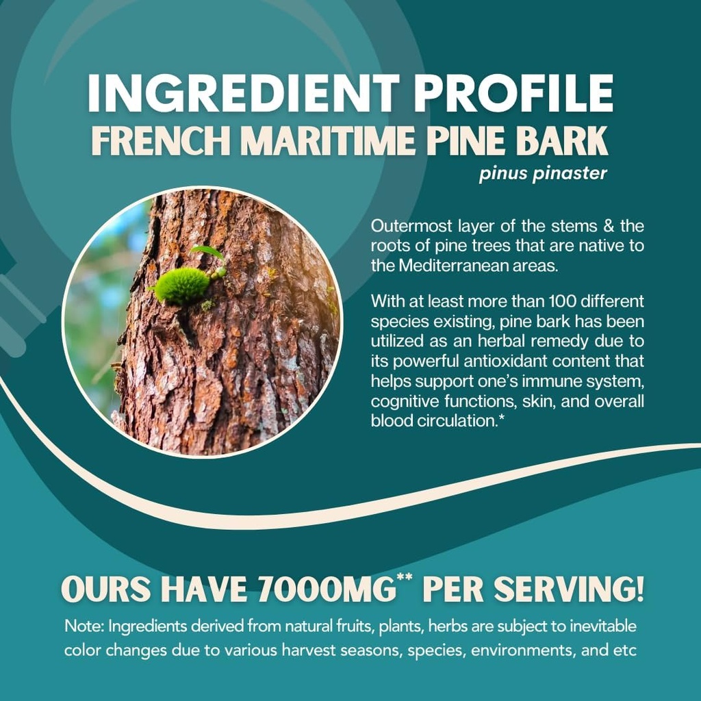 french-maritime-pine-bark-extract-7000mg-4.jpg