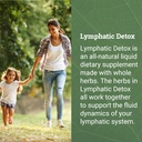 earth-harmony-lymphatic-drainage-drops-l-3.jpg