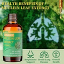 organic-mullein-drops-for-lung-cleanse-p-4.jpg
