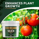 Volcanic Silica Minerals Micronized- 10 lbs 5