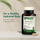 Standard Process Inc. Super-EFF - Whole Food Energy with Flaxseed Oil and Spanish Moss - 90 Capsules 4