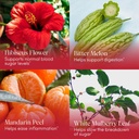 Apothékary Sugar Kick Herbal Liquid Drops, Digestive Support, Metabolic Support, 30 Servings 4