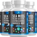 Silicon Sea Moss Black Seed Oil Ashwagandha Bladderwrack Burdock - 180 Count 2