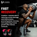 Cerus Performance - Performance Hydration Electrolyte Powder – Watermelon Flavor, 5g Creatine Monohydrate, 500mg Coconut Water Powder – Supports Endurance, Muscle Recovery & Keto 30 Servings 5